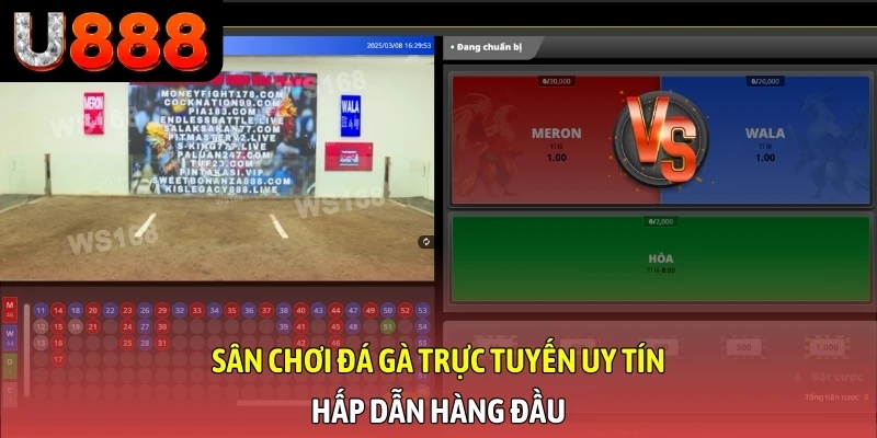 Sân chơi đá gà trực tuyến uy tín, hấp dẫn hàng đầu