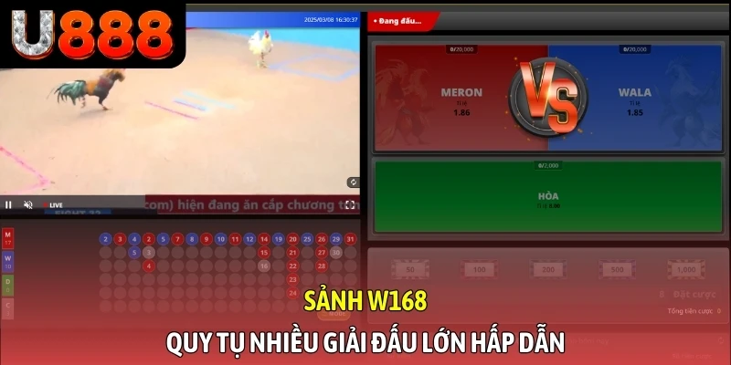 Sảnh W168 quy tụ nhiều giải đấu lớn hấp dẫn